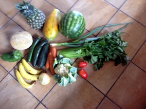 Here is $11.75 worth of fruit and veggies we picked up this morning.